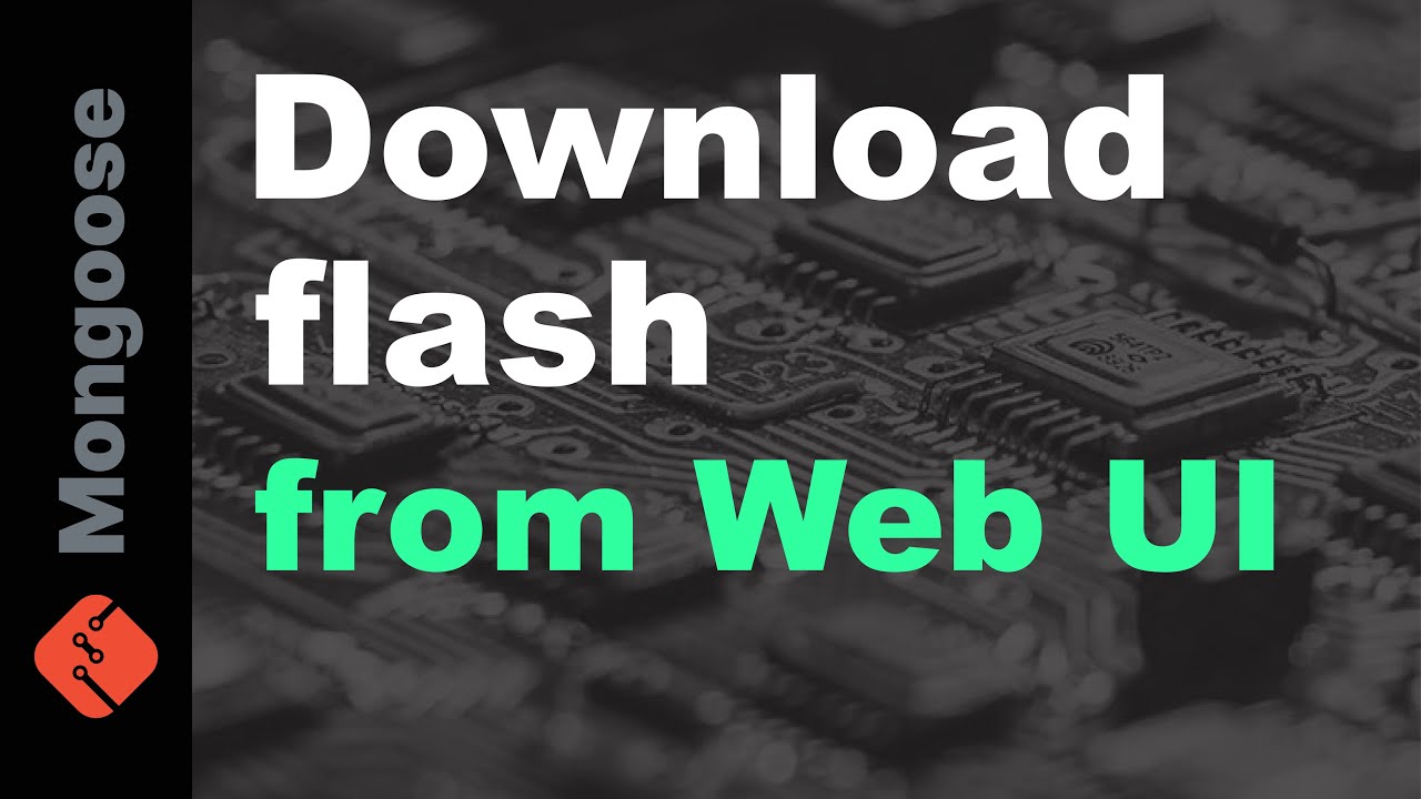 Download flash from Web UI
